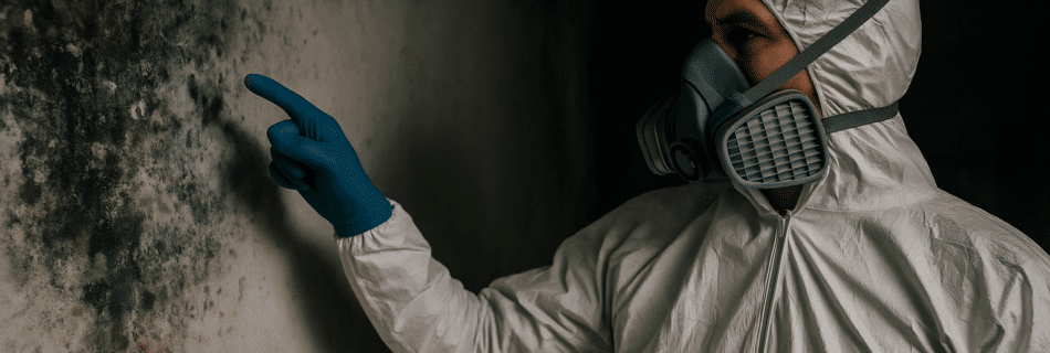 5 Critical Insights on the Health Risks of Mold Exposure Dubai and How to Effectively Manage Them