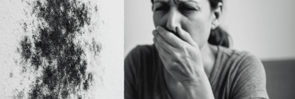 9 Critical Insights Into Mold and Human Health: Benefits and Process of Mold Testing