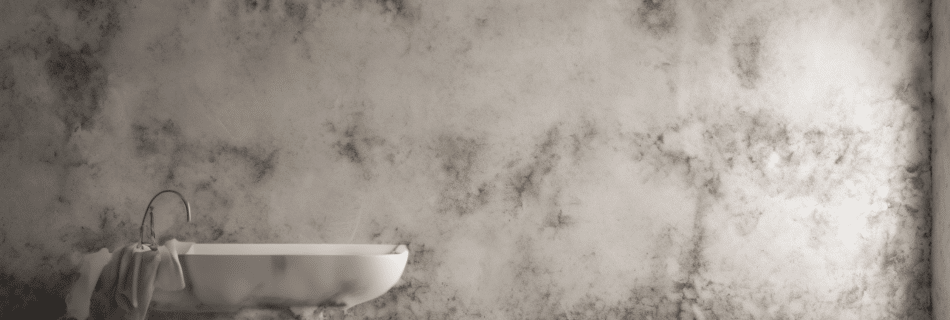 Featured image for: How To Identify Hidden Mold Behind Walls