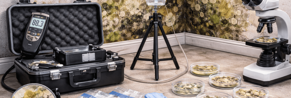 sampling in confirming mold