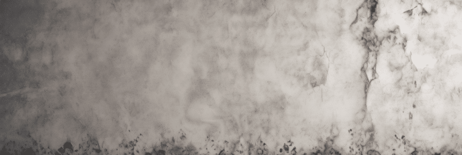 Understanding Hidden Mold Growth Behind Walls - Comprehensive guide on identifying, testing, and preventing hidden mold growth within buildings.