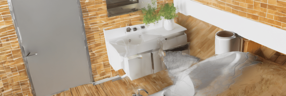 Moisture Mapping the First Step - Moisture Mapping: The First Step Before Black Mold Removal - thermal imaging scan of Dub...