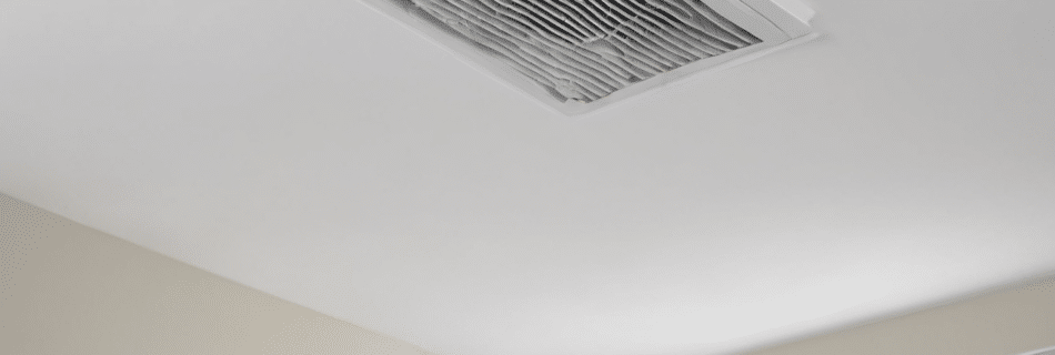 Mold In Ac Vents How - Mold in AC Vents: How to Confirm It - borescope inspection inside Dubai apartment AC duct showing m...