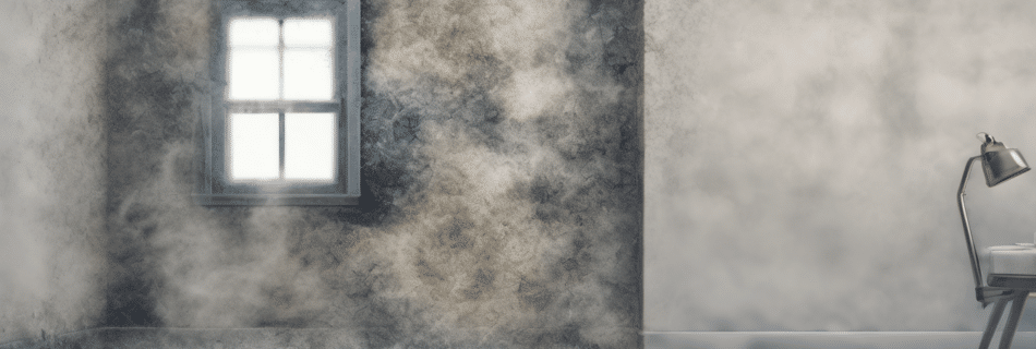 Filters Negative Air Pressure - Why Mold Abatement Needs HEPA Filters & Negative Air Pressure - professional containment s...